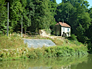 Le Bois banal, Fayl-Billot