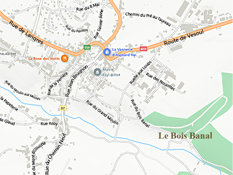 Carte de Fayl-Billot (52500)